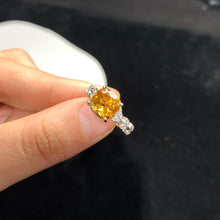 画像をギャラリービューアに読み込む, YBJ - 0613 - 143028 - 1 - 貴婦人の宝箱