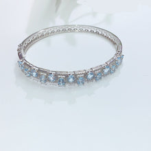 画像をギャラリービューアに読み込む, YBJ - 0613 - 143054 - 1 - 貴婦人の宝箱