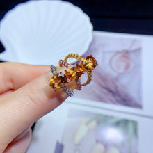 画像をギャラリービューアに読み込む, YBJ - 0615 - 105718 - 1 - 貴婦人の宝箱