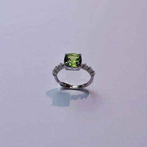 YBJ - 0615 - 110131 - 1 - 貴婦人の宝箱