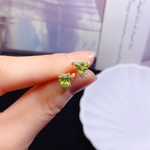 画像をギャラリービューアに読み込む, YBJ - 0615 - 111003 - 1 - 貴婦人の宝箱